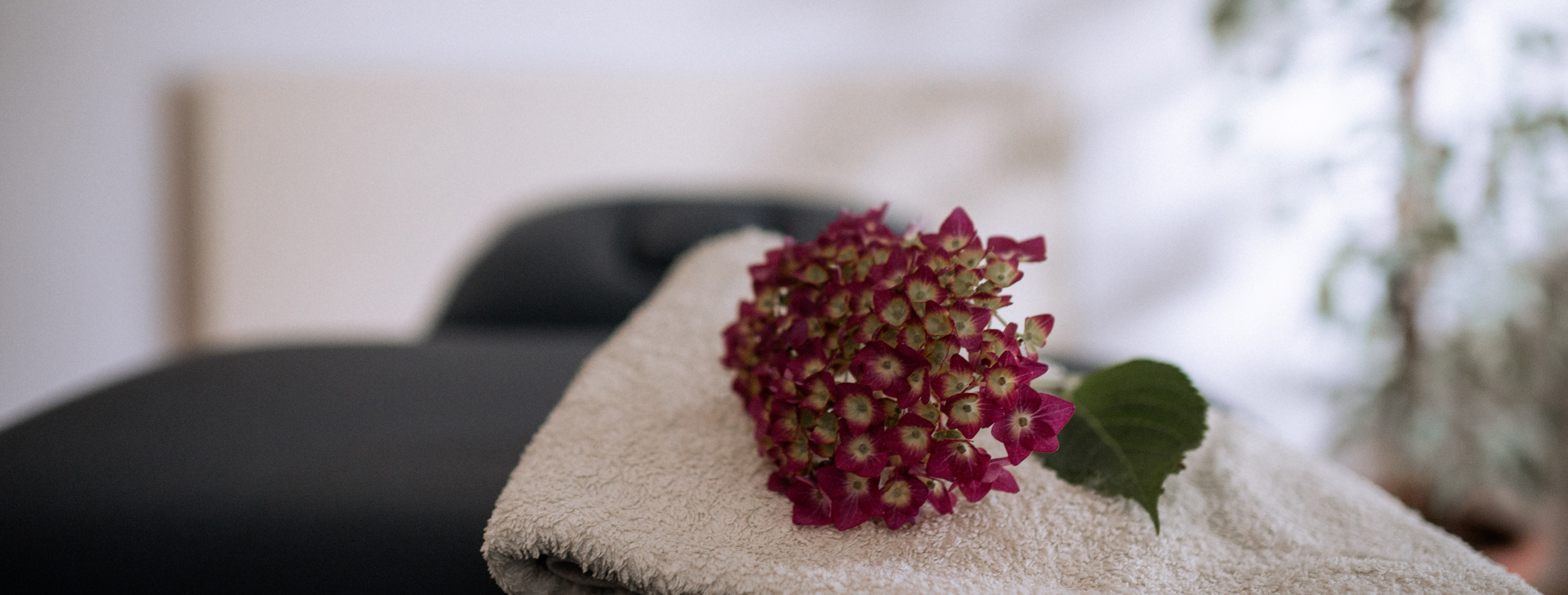 Tauna Balance – Wellnessbehandlungen